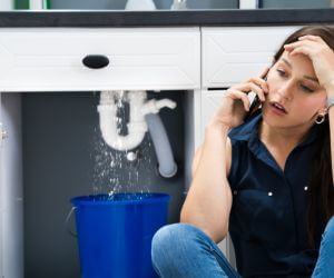 About Plumbers Pros Normanna, TX